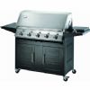 Gas Barbecue Grill